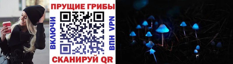 где купить наркоту  Новая Ладога  Псилоцибиновые грибы ЛСД 